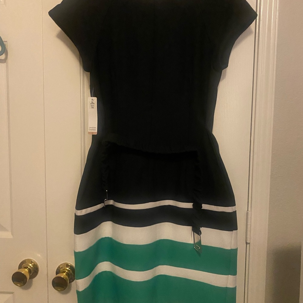 Sandra Darren  Black and Green Striped Dress